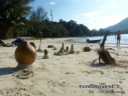 COCONUT TEMPLE